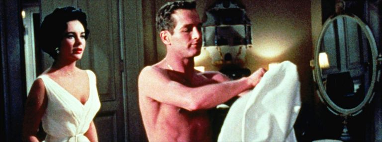 Cat On A Hot Tin Roof