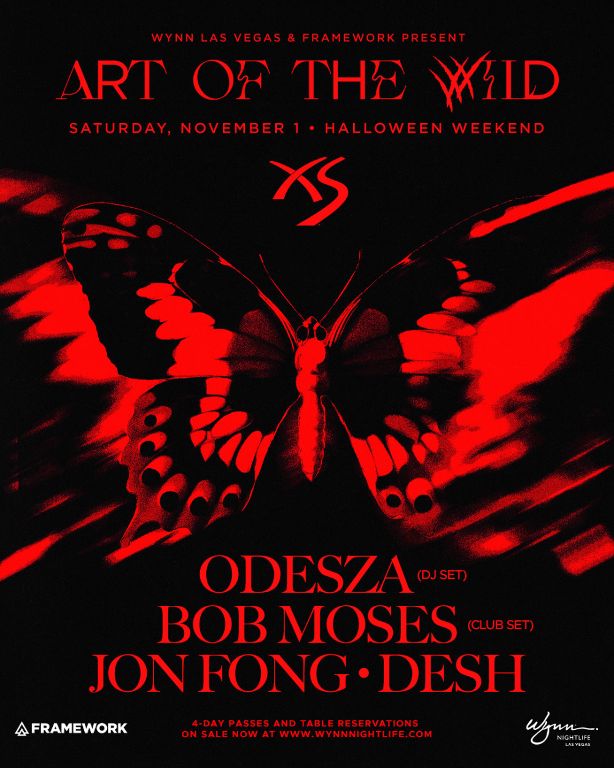 Art of The Wild