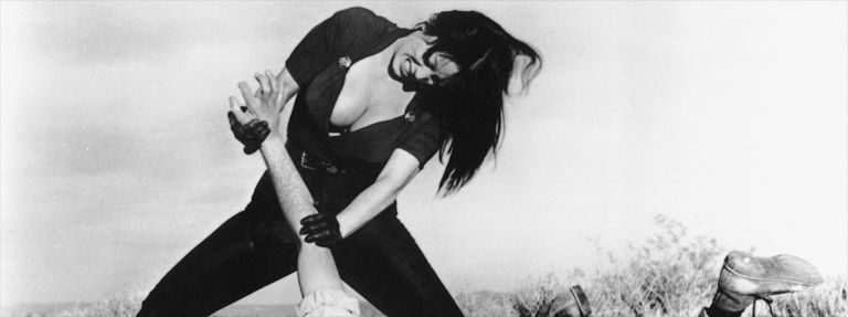 Faster, Pussycat! Kill! Kill!