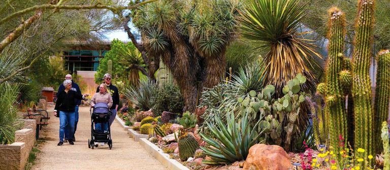Springs Preserve