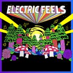 Electric Feels: Indie Rock + Electronic Dance Party
