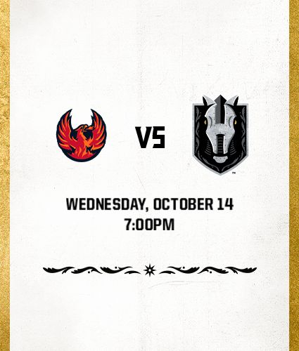 Silver Knights vs Firebirds
