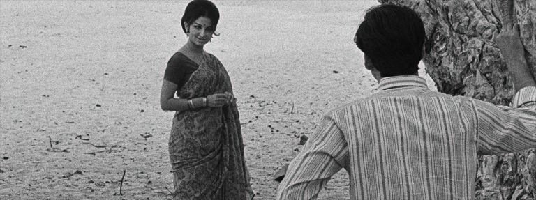 Days and Nights in the Forest