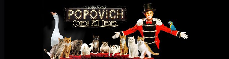 Popovich Comedy Pet Theater