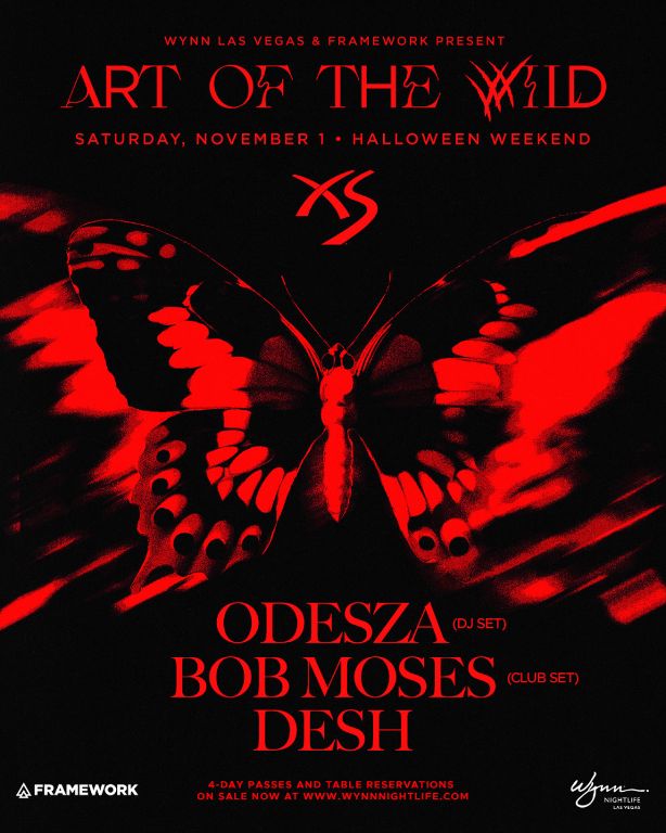 Art of The Wild