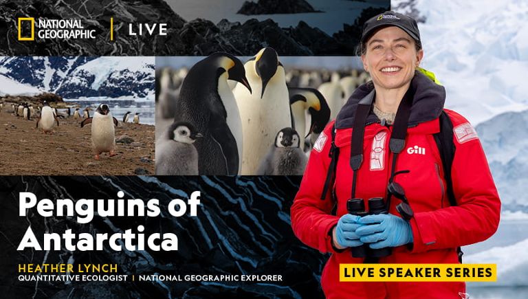 National Geographic Live: Dr. Heather Lynch "Penguins of Antarctica"