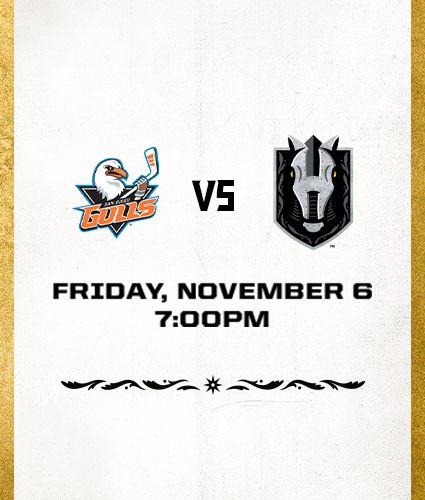 Silver Knights vs Gulls