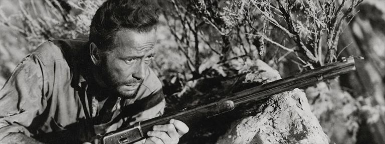 The Treasure of the Sierra Madre